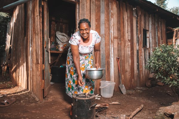 Partnering to Promote Financial Investments in Clean Cooking Markets in Africa